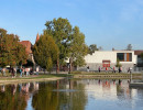 rozsaszin botorkalas59