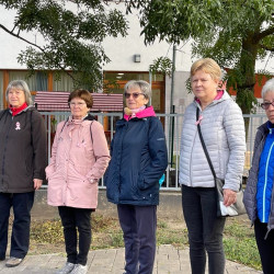 rozsaszin seta a mellrak ellen05