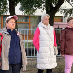 rozsaszin seta a mellrak ellen15