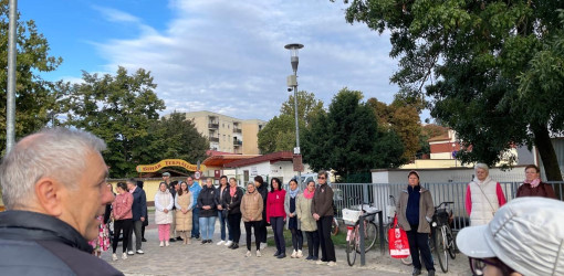 rozsaszin seta a mellrak ellen17