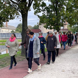 rozsaszin seta a mellrak ellen25