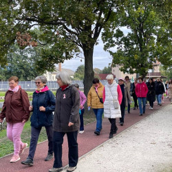 rozsaszin seta a mellrak ellen26