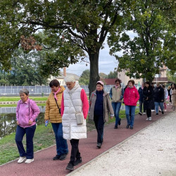 rozsaszin seta a mellrak ellen27