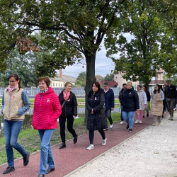 rozsaszin seta a mellrak ellen28