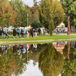 rozsaszin seta a mellrak ellen39