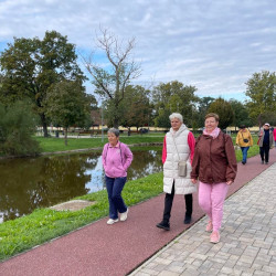 rozsaszin seta a mellrak ellen55