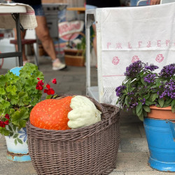 tajak hazak izek 2025