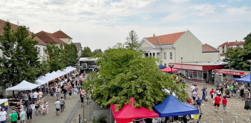 tajak hazak izek 2025