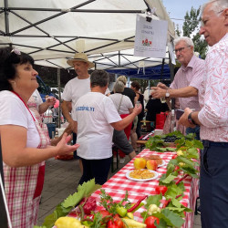 tajak hazak izek 2025