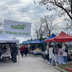 tama husveti termeloi vasar59