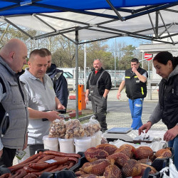 tama husveti termeloi vasar70