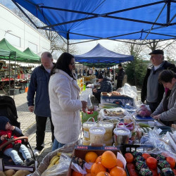 tama husveti termeloi vasar71