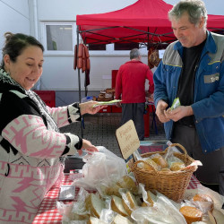 tama husveti termeloi vasar74