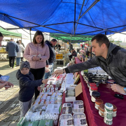 tama husveti termeloi vasar79