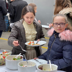 ujabb fejlesztes az express kft nel