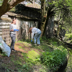 teszedd berettyoujfaluban is