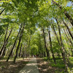 teszedd berettyoujfaluban is