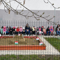 tied vagyok tied hazam47