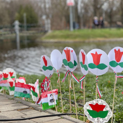 tied vagyok tied hazam66