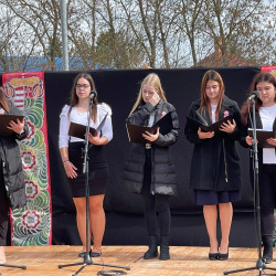 tied vagyok tied hazam71