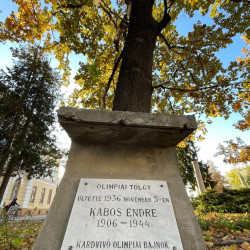 kabos endre emleknap02