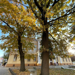 kabos endre emleknap03