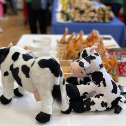 xii bihari mezes nap56