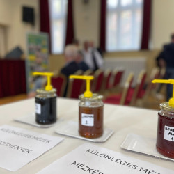 xii bihari mezes nap58