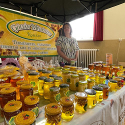 xii bihari mezes nap61