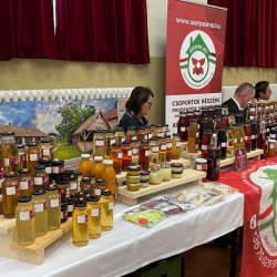 xiii bihari mezes nap015