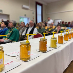 xiii bihari mezes nap019