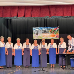 xiii bihari mezes nap058