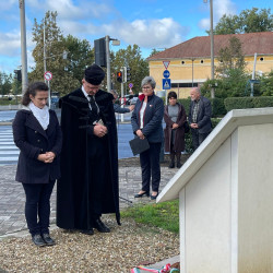 xxvi bihari szamado napok08