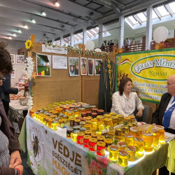 xxvi bihari szamado napok25