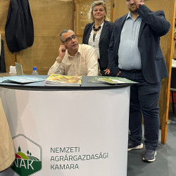 xxvi bihari szamado napok30