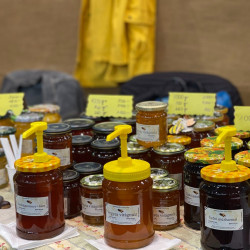 xxvi bihari szamado napok35