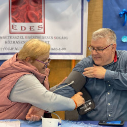 xxvi bihari szamado napok36