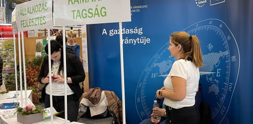 xxvi bihari szamado napok48