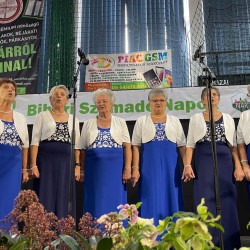 xxvi bihari szamado napok56