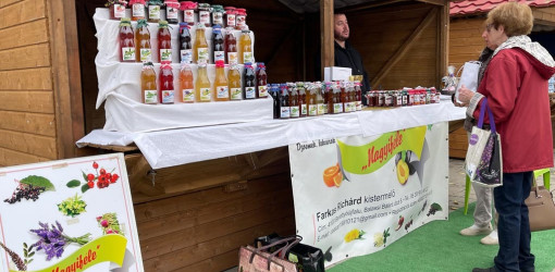 xxvii bihari szamado napok133