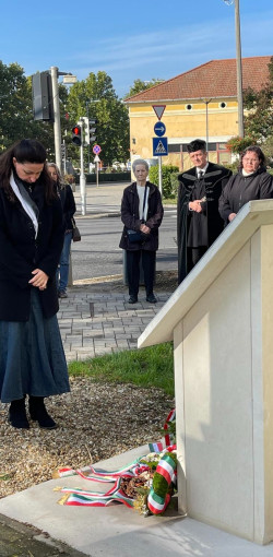 xxvii bihari szamado napok15