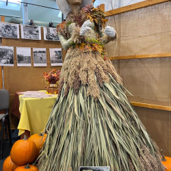 xxvii bihari szamado napok21