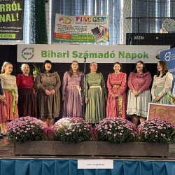 xxvii bihari szamado napok26