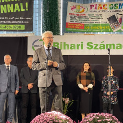 xxvii bihari szamado napok28