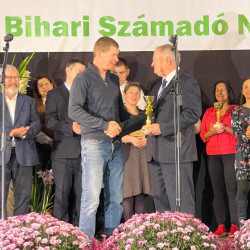 xxvii bihari szamado napok53