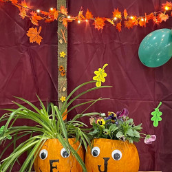 xxvii bihari szamado napok86