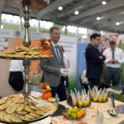 xxvii bihari szamado napok91