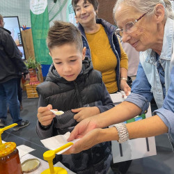 xxvii bihari szamado napok97