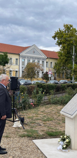 xxviii bihari szamado napok03
