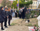 xxviii bihari szamado napok07